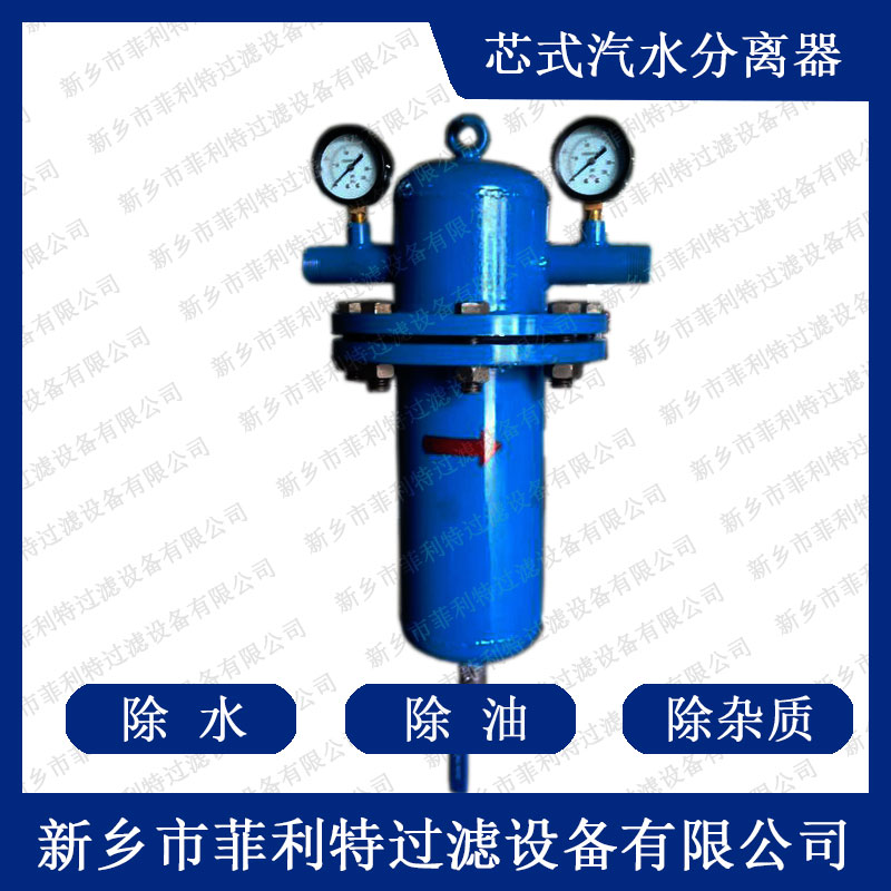 芯式汽水分离器